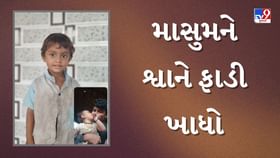 ઘર બહાર રમતા માસુમને શ્વાને ફાડી ખાધો, બાળકનું મોત ઘર બહાર રમતા માસુમને શ્વાને ફાડી ખાધો, બાળકનું મોત