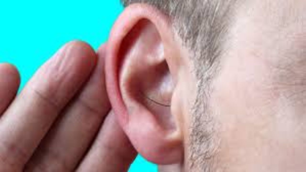 કાન પરના વાળ શું દર્શાવે છે?: સામાન્ય રીતે લોકો કાન પરના વાળને એક સામાન્ય શારીરિક પ્રક્રિયા માને છે, પરંતુ સામુદ્રિક શાસ્ત્ર અનુસાર તે ફક્ત શરીરનો એક ભાગ નથી, પરંતુ વ્યક્તિના જીવન સાથે સંબંધિત એક મહત્વપૂર્ણ સંકેત હોઈ શકે છે. આ પરિવર્તન ફક્ત સ્વાસ્થ્ય જ નહીં, પણ વ્યક્તિના વિચાર, વર્તન અને તેના જીવનના રહસ્યોને પણ પ્રતિબિંબિત કરે છે.