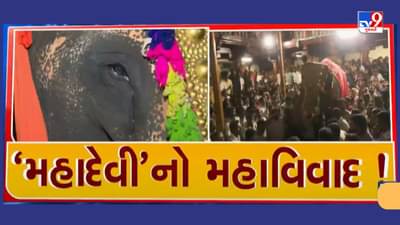 Breaking News : કોલ્હાપુરની મહાદેવી હાથણીને વનતારા લવાતા સ્થાનિકોમાં રોષ, લોકોએ કર્યો ઉગ્ર વિરોધ