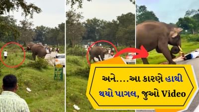 જંગલી હાથી સાથે સેલ્ફી લેવી મોંઘી પડી, ગુસ્સે ભરાયેલા 'ગજરાજ' મચાવી અફરા-તફરી, જુઓ Video