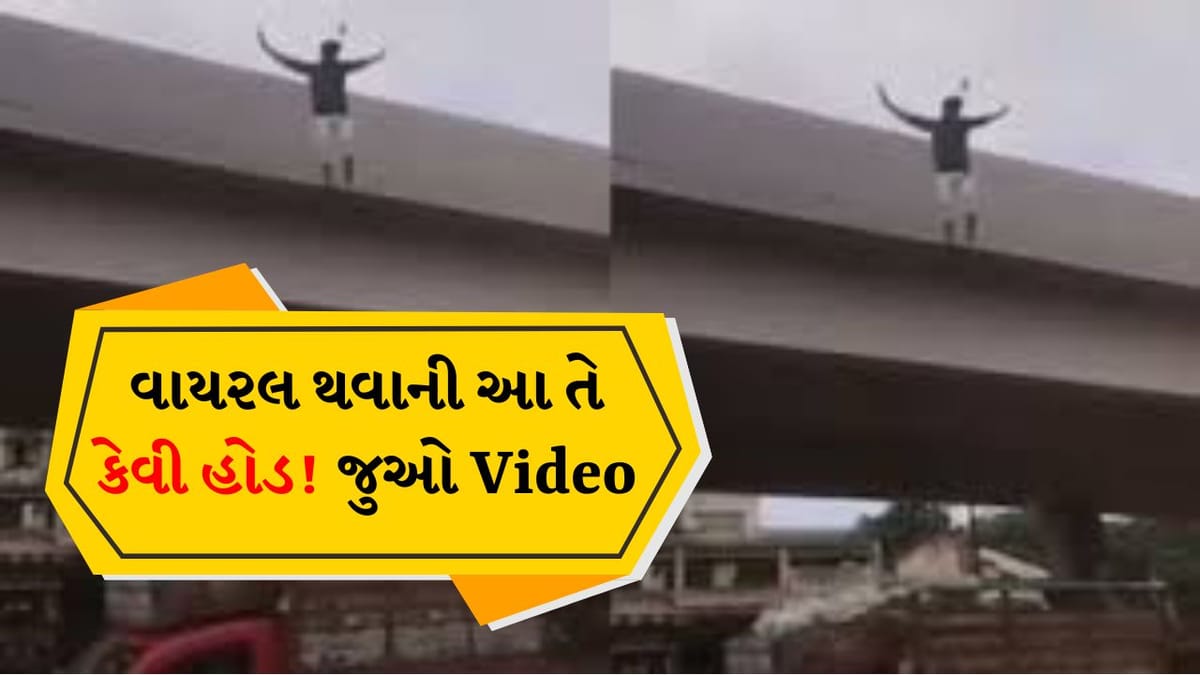 Reelsની આ ઘેલછા નહીં તો બીજું શું! કચરાની ગાડીમાં પડવું હતું અને ભાઈ સાથે દાવ થઈ ગયો, જુઓ Viral Video