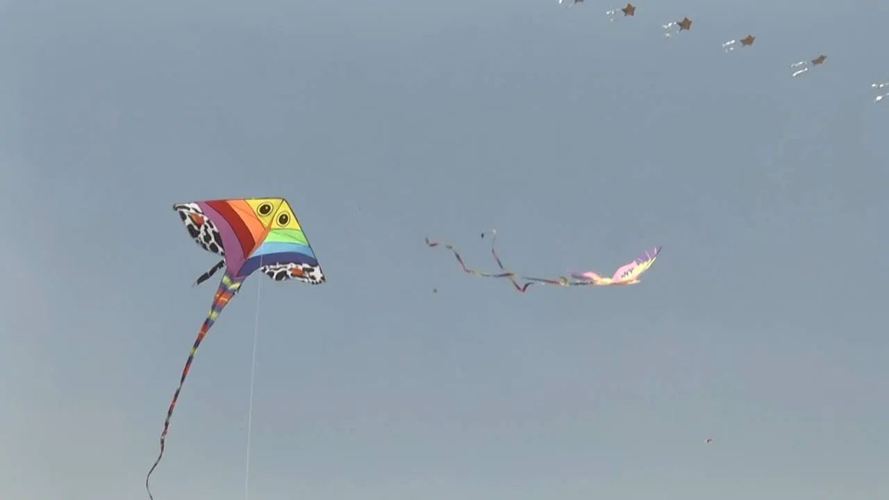 સ્વાતંત્ર્ય સેનાનીઓ પતંગો પર 'સાયમન ગો બેક'ના નારા લખતા હતા અને પતંગને આકાશમાં ઉડાડતા હતા. ખાસ વાત એ છે કે, આ કાળા પતંગો બ્રિટિશ શાસન સામે વિરોધનું પ્રતીક હતા. આ એક રચનાત્મક અને શાંતિપૂર્ણ પદ્ધતિ હતી, જેણે લોકોમાં આઝાદીની ભાવનાને વધુ મજબૂત બનાવી.