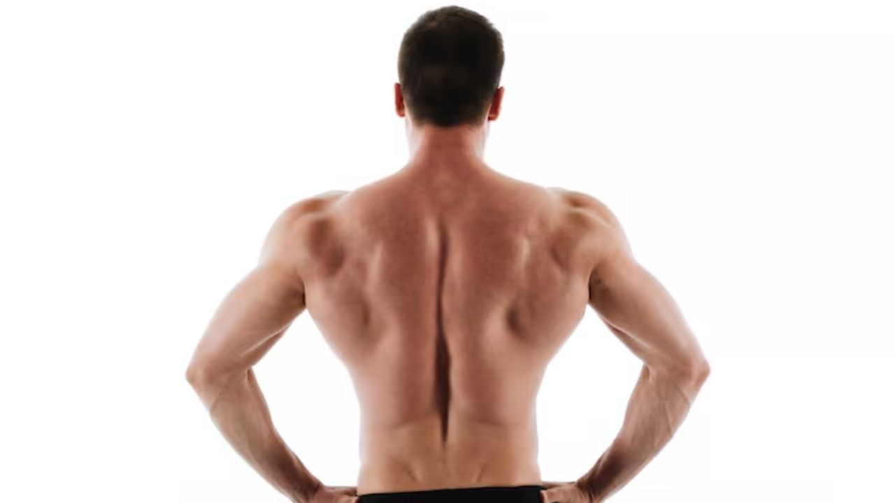 જો પીઠ, પાંસળી અને પેટ ફરકે તો શું થાય છે?: જો પીઠ ફરકે તો જીવનમાં મોટી સમસ્યા આવી શકે છે. જો પાંસળી ફરકે તો કોઈની સાથે ઝઘડો થવાની શક્યતા રહે છે. છાતી ફરકે એ કોઈ જૂના મિત્રને મળવાની નિશાની છે. જો હૃદયનો ઉપરનો ભાગ ફરકે તો પ્રેમીથી અલગ થઈ શકે છે. જો પેટ ફરકે તો તમને સારું ભોજન ખાવા મળે છે.
