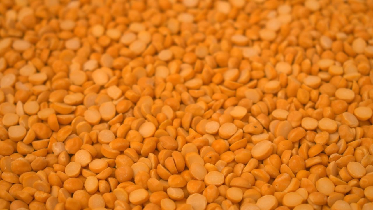 હિમોગ્લોબિનની ઉણપના કારણે મહિલાઓના પીરિયડ્સ પ્રભાવિત થઈ શકે છે. આ કારણે અનિયમિત પીરિયડ્સ કે પીરિયડ્સ ન આવવાની સમસ્યા હોય શકે છે. તમને જણાવી દઈએ કે, હેવી પીરિયડ્સના કારણે મહિલાઓના શરીરમાં લોહીની ઉણપ થઈ શકે છે. પરંતુ તમારા શરીરમાં લોહીની ઉણપને પૂર્ણ કરવા માટે સારી ડાયટ લઈ શકો છો. કે પછી આયરન સ્પલિમેન્ટનું સેવન કરી શકો છો.