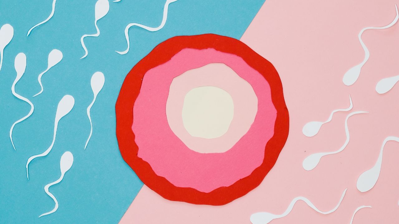 લીલા પાંદડાવાળા શાકભાજીમાં પોષકતત્ત્વો હોય છે જે શરીર માટે ફાયદાકારક હોય છે. લીલા પાંદડાવાળા શાકભાજીમાં આયર્ન ભરપૂર માત્રામાં હોય છે, જે હીમોગ્લોબિન વધારવામાં મદદ કરે છે.