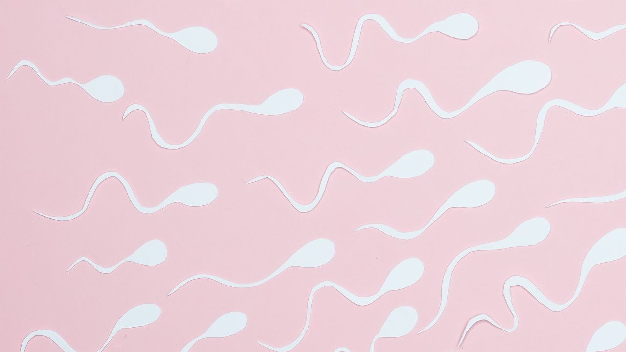 લીલા પાંદડાવાળા શાકભાજીમાં એન્ટીઓક્સીડન્ટથી ભરપુર હોય છે. જે એગ્સની ક્વોલિટી વધારવામાં મદદ કરે છે. આ સાથે ઈમ્યુનિટી પણ બુસ્ટ કરે છે.