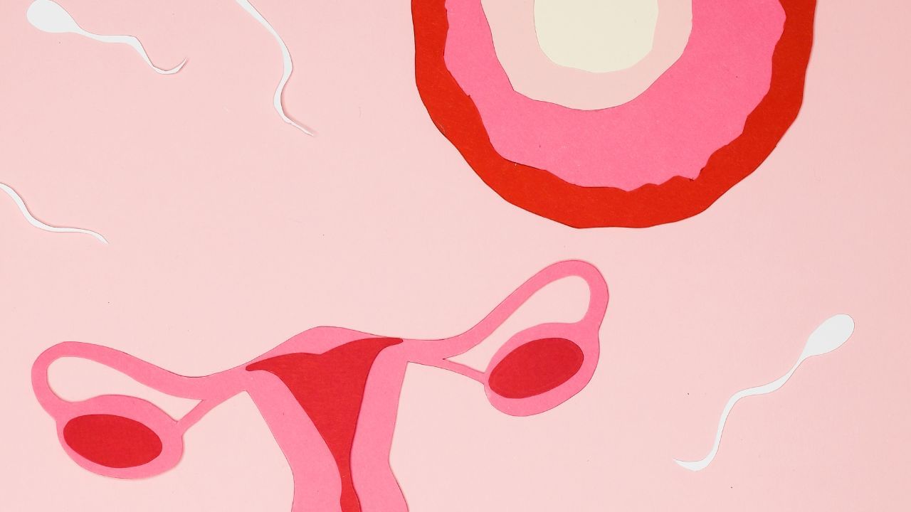 નોંધ : અહીં આપવામાં આવેલી માહિતી ફક્ત આપની જાણકારી માટે છે. કોઈ પણ ઈલાજ કરતાં પહેલા કે,અમલમાં લેતા પહેલા નિષ્ણાતોની સલાહ લેવી જરુરી છે. ( all photo:canva)