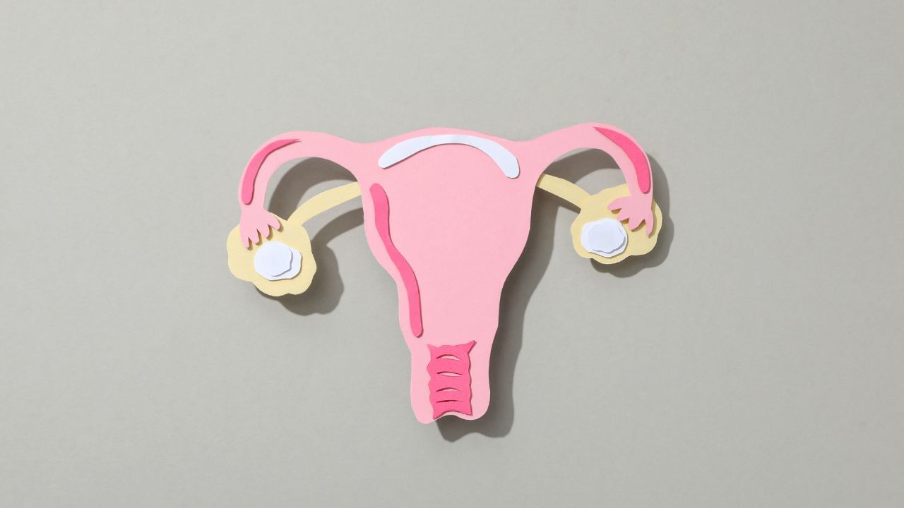 આ સમયગાળા દરમિયાન સ્ત્રીઓનો મૂડ બદલાતો રહે છે. આ તબક્કે, તેમને શારીરિક સંબંધ બાંધવાની ઇચ્છા ઓછી થઈ જાય છે. જો તેઓ શારીરિક સંબંધ બાંધે છે, તો તે પીડાદાયક હોય છે, કારણ કે શરીરમાં એસ્ટ્રોજન ઉત્પન્ન થતું નથી, જેના કારણે પ્રાઈવેટ પાર્ટમાં શુષ્કતા આવે છે.