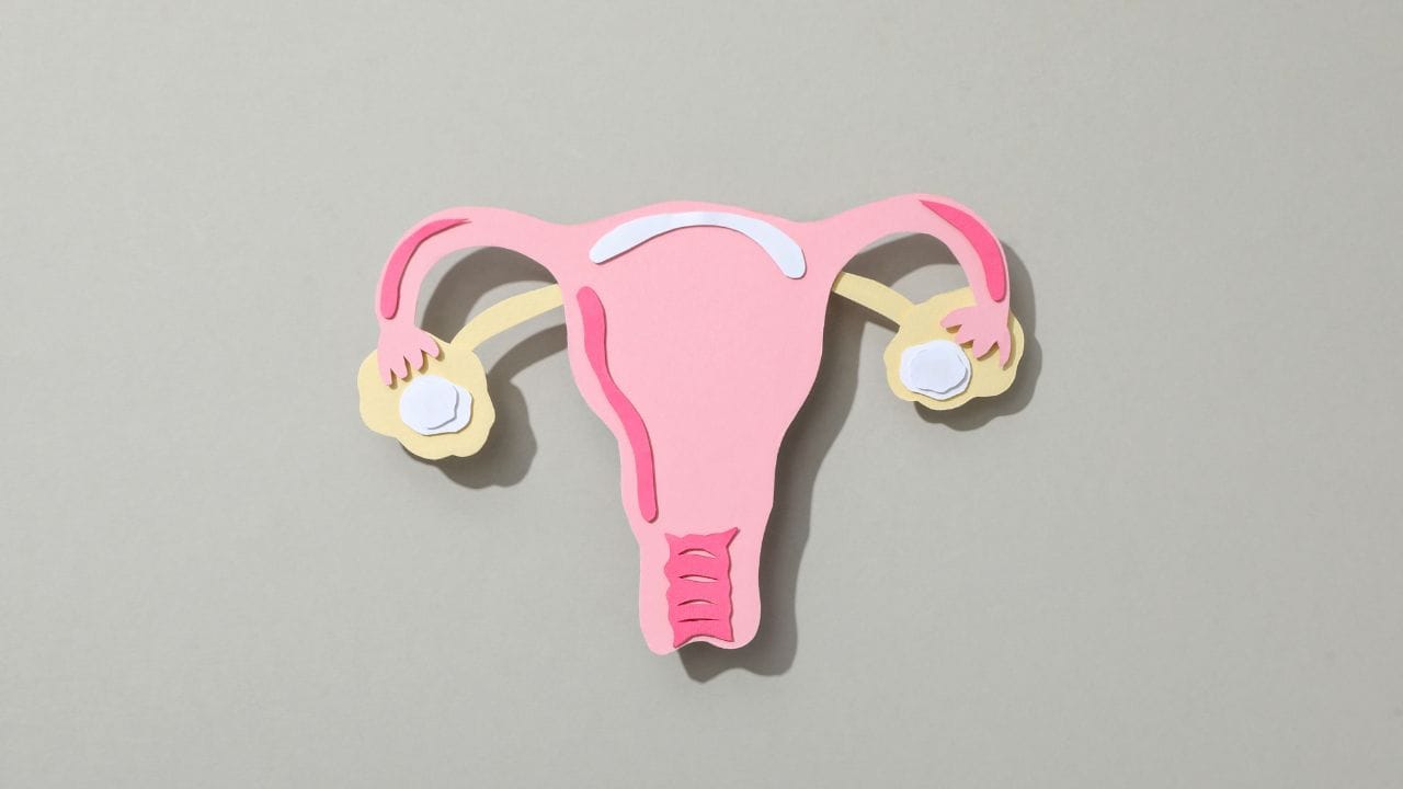 તમે અનેક પ્રકારના કેન્સરો વિશે વાંચ્યું કે સાંભળ્યું હશે. પરંતુ આજે આપણે એક એવા કેન્સર વિશે વાત કરીશું. જે મહિલાઓમાં જોવા મળે છે.જેનું નામ સર્વાઈકલ કેન્સર છે. WHO મુજબ દુનિયાભરમાં આ ચોથું સૌથી સામાન્ય સર્વાઈકલ કેન્સર છે. આ એક એવું કેન્સર છે. જેનો 90 ટકા બચાવ સંભવ છે આ માટે કેન્સરના લક્ષણો શું હોય છે. તેના વિશે જલ્દી જાણી લેવું જરુરી છે.