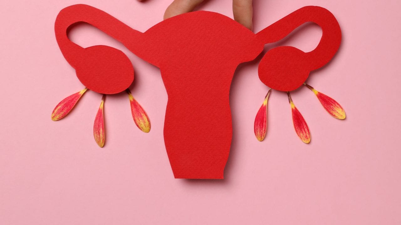 હવે આપણે સર્વાઈકલ કેન્સરથી કઈ રીતે બચી શકાય તેના વિશે વાત કરીએ તો. એચપીવી વેક્સીન આ વેક્સીન 9 થી 14 વર્ષની છોકરીઓમાં લગાવવી જોઈએ,આ વેક્સીન શરીરને વાયરસ સામે લડવા માટે તૈયાર કરે છે. આ સિવાય દરેક મહિલાઓને 30 વર્ષની ઉંમર બાદ નિયમિત રુપથી પૈપ સ્મીયર ટેસ્ટ કરાવવો જોઈએ. જેનાથી શરુઆતના સ્ટેજમાં જ કોઈ ખતરો છે. તો ખબર પડી જાય છે.