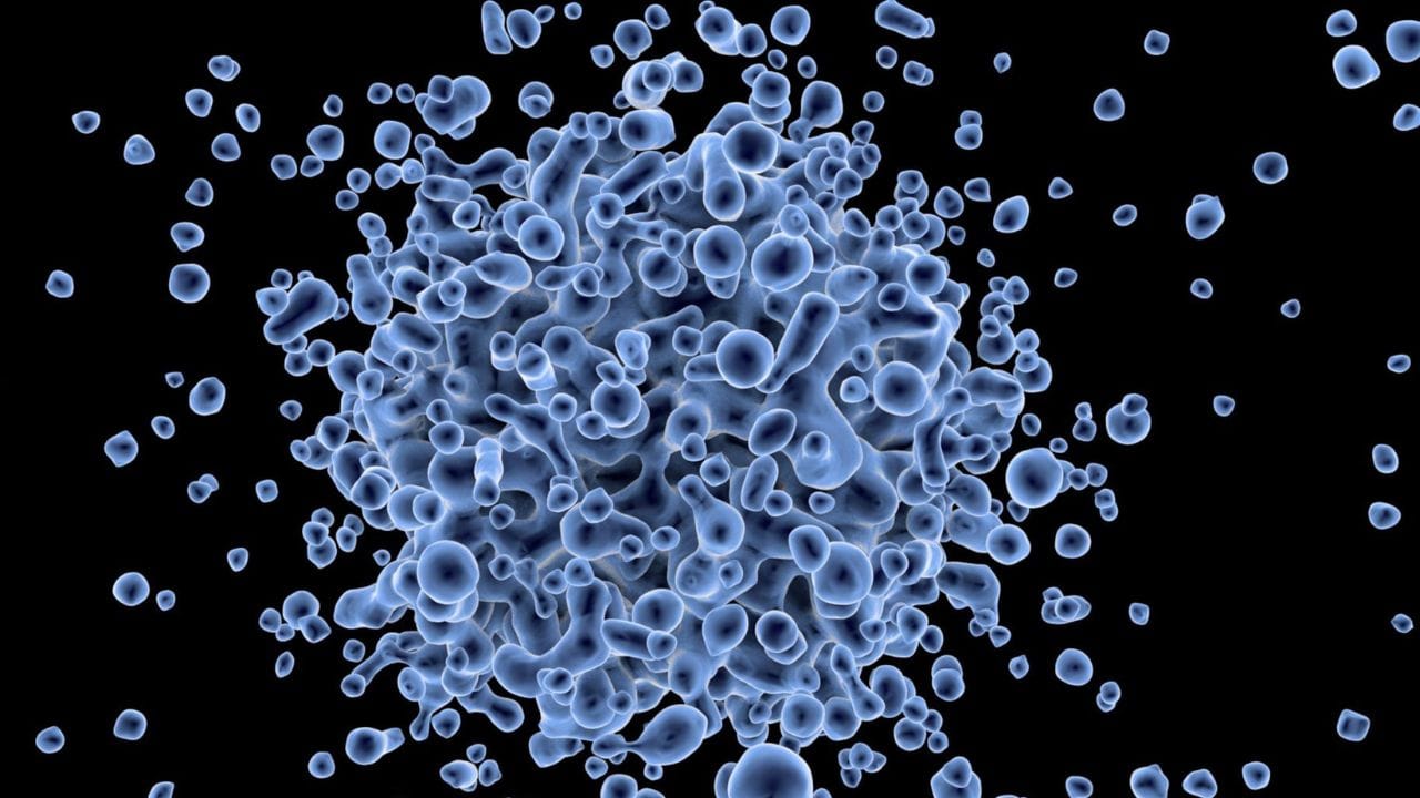 નોંધ : અહીં આપવામાં આવેલી માહિતી ફક્ત આપની જાણકારી માટે છે. કોઈ પણ ઈલાજ કરતાં પહેલા કે,અમલમાં લેતા પહેલા નિષ્ણાતોની સલાહ લેવી જરુરી છે. ( all photo:canva)