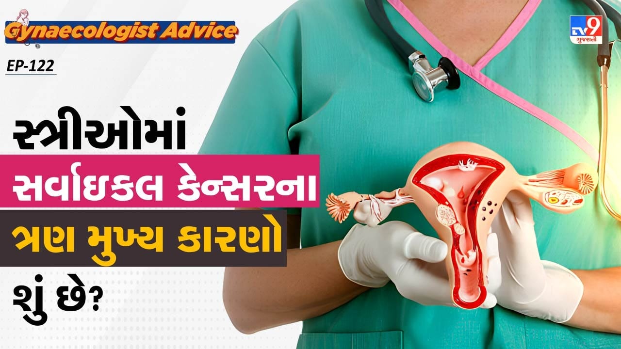 HPV Virusનું સૌથી પહેલું કારણ એચપીવી વાયરસ છે. આ વાયરસ એક યૌન સંચારિત વાયરસ છે. જે સંક્રમિત પાર્ટનરના સંપર્કમાં આવવાથી ફેલાય છે.મહત્વની વાત એ છે કે, આ એચપીવી વાયરસ કેન્સરમાં બદલતું નથી પરંતુ લાંબા સમય સુધી આ વાયરસ શરીરમાં રહેવાથી તમારી ઈમ્યુનિટી નબળી કરી નાંખે છે. આ વાયરસ સર્વાઈકલ સેલ્સને પણ નુકસાન પહોંચાડી શકે છે.