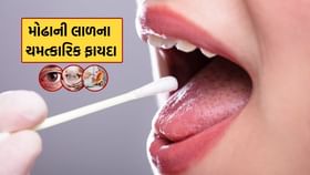 મોઢાની લાળ શરીરની આટલી સમસ્યાઓ માટે છે રામબાણ મોઢાની લાળ શરીરની આટલી સમસ્યાઓ માટે છે રામબાણ