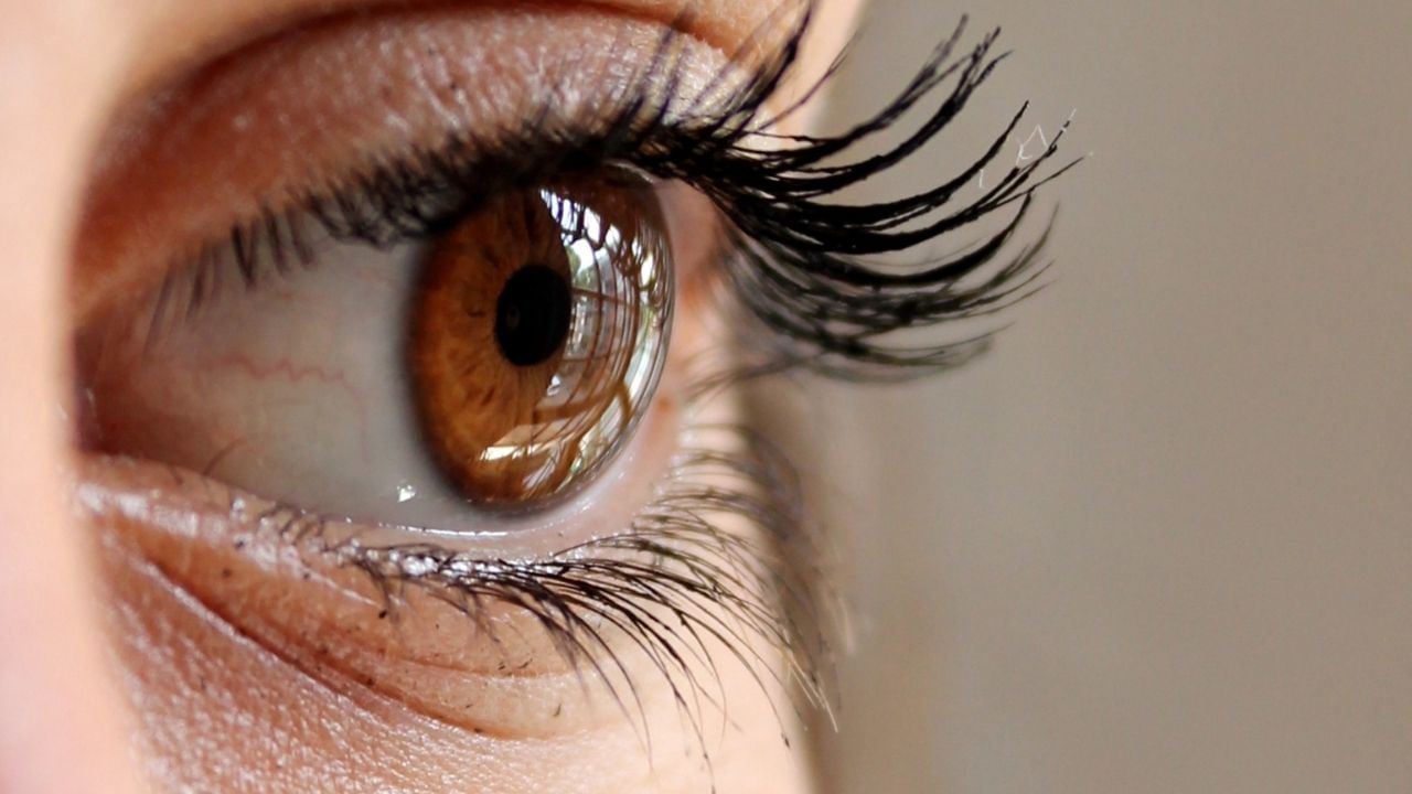 આજના ડિજિટલ યુગમાં, આંખોને સ્વસ્થ રાખવી એ કોઈ પડકારથી ઓછું નથી. આવી સ્થિતિમાં, પ્રોટીનયુક્ત લાળ આંખો પર લગાવવાથી તેઓ લાંબા સમય સુધી સ્વસ્થ રહેશે.