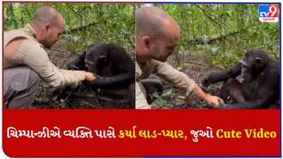 Viral Video: ચિમ્પાન્ઝીએ નાના બાળકની જેમ કર્યા લાડ-પ્યાર, જે થયું તે તમે જોયા પછી પણ વિશ્વાસ નહીં આવે