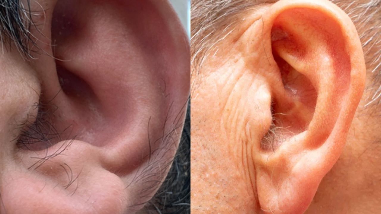 શાંત અને ઊંડા વિચારકો: આવા લોકોનો સ્વભાવ ઘણીવાર શાંત, ગંભીર અને વિચારશીલ હોય છે. તેઓ ઉતાવળમાં કોઈ નિર્ણય લેતા નથી અને બધું વિચારીને જ કરે છે. તેમના વિચારો અને જીવનને જોવાની રીત સામાન્ય લોકો કરતા અલગ હોય છે. આ લોકો માત્ર પોતાનામાં વિશ્વાસ ધરાવતા નથી પણ બીજાઓને યોગ્ય સલાહ આપવાની ક્ષમતા પણ ધરાવે છે.