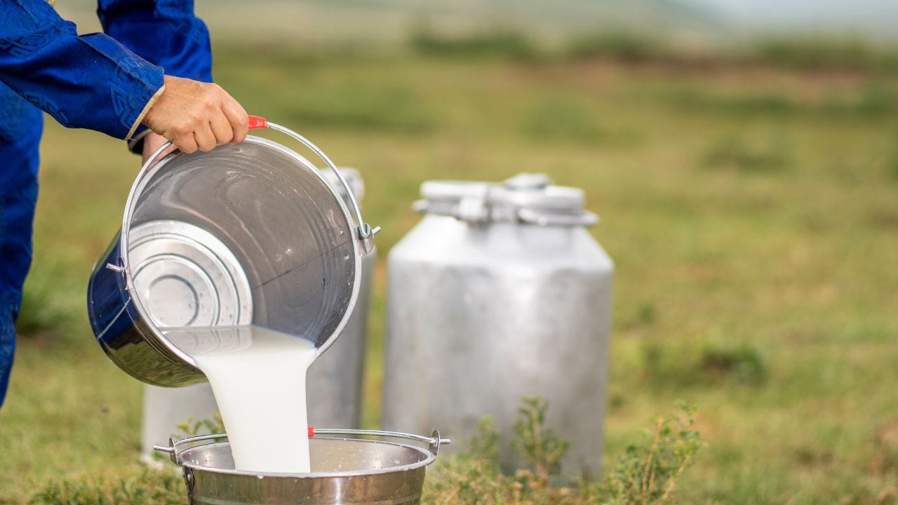 સ્વતંત્રતાના વર્ષમાં ફુલ મલાઈ દૂધનો ભાવ 12 પૈસા પ્રતિ લિટર હતો, પરંતુ આજે તે 66 રૂપિયા પ્રતિ લિટર થઈ ગયો છે.