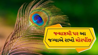 જન્માષ્ટમીનો તહેવાર શનિવાર 16 ઓગસ્ટ 2025 ના રોજ ઉજવવામાં આવશે. આ દિવસે લોકો ઉપવાસ રાખે છે, પૂજા કરે છે અને મધ્યરાત્રિએ શ્રી કૃષ્ણનો જન્મોત્સવ ઉજવે છે.
