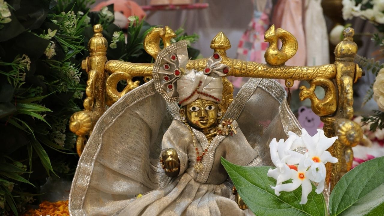 પારિજાતનું ફૂલ ખૂબ સુગંધિત છે અને તે રાત્રે ખીલે છે. ભગવાન કૃષ્ણ આ ફૂલને સ્વર્ગમાંથી પૃથ્વી પર લાવ્યા હતા.