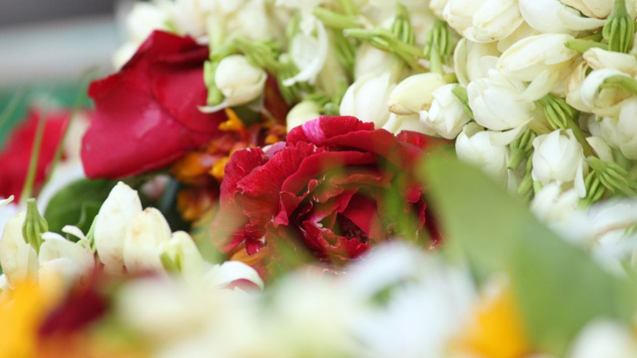 ભગવાન કૃષ્ણને ગુલાબ અને ચમેલીના ફૂલો પણ અર્પણ કરી શકાય છે.