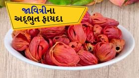 Javitri: જાવિત્રીના અદ્ભુત ફાયદા, ખીલથી મળશે છુટકારો Javitri: જાવિત્રીના અદ્ભુત ફાયદા, ખીલથી મળશે છુટકારો