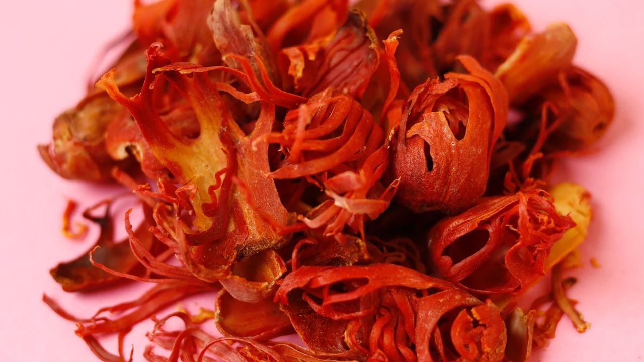 ખીલની સારવાર કરે છે - જાવિત્રી ખીલ, તૈલી ત્વચા અથવા નિસ્તેજ ત્વચા જેવી હોર્મોનલ અસંતુલન સંબંધિત ત્વચા સમસ્યાઓને નિયંત્રિત કરવામાં મદદ કરે છે. જો કે તેનું સેવન ઓછી માત્રામાં કરવું જોઈએ.
