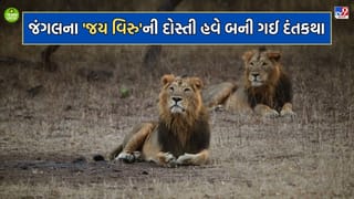 મિત્રતા હોય તો આવી.. હંમેશા સાથે રહેતા જય વિરુની જોડીનો અસ્ત, મિત્ર વિરુનુ મોત થતા જય પણ એક જ મહિનામાં મૃત્યુ પામ્યો