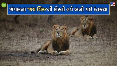 મિત્રતા હોય તો આવી.. હંમેશા સાથે રહેતા જય વિરુની જોડીનો અસ્ત, મિત્ર વિરુનુ મોત થતા જય પણ એક જ મહિનામાં મૃત્યુ પામ્યો