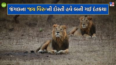 મિત્રતા હોય તો આવી.. હંમેશા સાથે રહેતા જય વિરુની જોડીનો અસ્ત, મિત્ર વિરુનુ મોત થતા જય પણ એક જ મહિનામાં મૃત્યુ પામ્યો