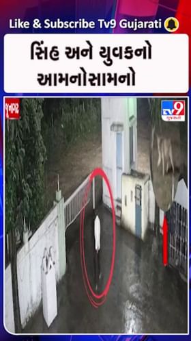 સિંહ પરિવારના આંટાફેરા વધતા ભયનો માહોલ