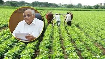 ગાંધીનગર ખાતે આવતીકાલ શનિવારે રાજ્ય કક્ષાનો “પીએમ કિસાન ઉત્સવ દિવસ” ઉજવાશે. રાજ્ય કક્ષાના સમારોહમાં મુખ્યમંત્રીના હસ્તે પીએમ કિસાન સમ્માન નિધિ યોજનાના લાભાર્થીઓ ઉપરાંત કેન્દ્ર અને રાજ્ય સરકારની વિવિધ યોજનાના લાભાર્થી ખેડૂતોને સહાય વિતરણ તેમજ પ્રગતિશીલ ખેડૂતોને સન્માનિત કરવામાં આવશે.