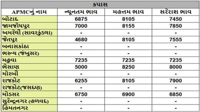 કપાસના તા.01-08-2025ના રોજ APMCના ભાવ રૂ.4680 થી 8250 રહ્યા.