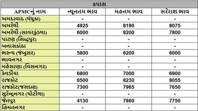 કપાસના તા.29-08-2025ના રોજ APMCના ભાવ રૂ.4130 થી 8230 રહ્યા.