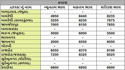 કપાસના તા.08-08-2025ના રોજ APMCના ભાવ રૂ.2000 થી 8440 રહ્યા.