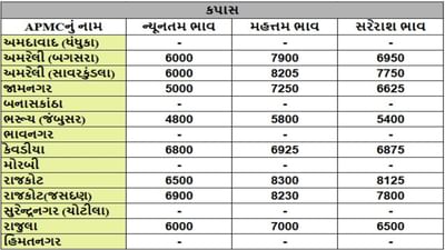 કપાસના તા.12-08-2025ના રોજ APMCના ભાવ રૂ.4800 થી 8300 રહ્યા.