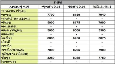 કપાસના તા.13-08-2025ના રોજ APMCના ભાવ રૂ.3250 થી 8205 રહ્યા.