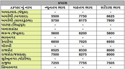 કપાસના તા.22-08-2025ના રોજ APMCના ભાવ રૂ.5500 થી 8330 રહ્યા.