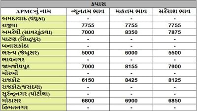 કપાસના તા.31-07-2025ના રોજ APMCના ભાવ રૂ.5000 થી 8425 રહ્યા.