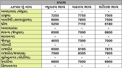 કપાસના તા.21-08-2025ના રોજ APMCના ભાવ રૂ.4055 થી 8305 રહ્યા.