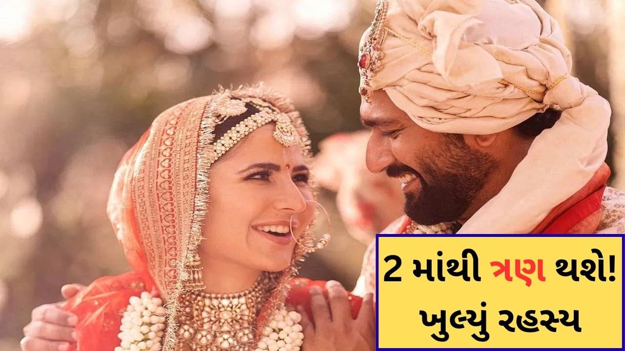 Katrina Kaif Pregnancy : કેટરિના કૈફ અને વિકી કૌશલ 2 માંથી ત્રણ થશે ! સોશિયલ મીડિયામાં ખુલ્યું રહસ્ય