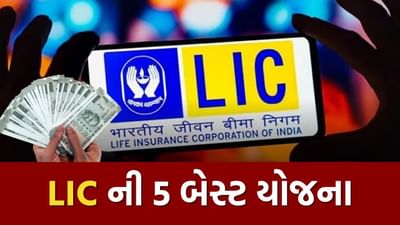 જો તમે પણ એવા રોકાણકાર છો જે સુરક્ષિત રોકાણ કરવાનું પસંદ કરે છે, તો અમે તમને LIC ની પાંચ શ્રેષ્ઠ યોજનાઓ વિશે જણાવવા જઈ રહ્યા છીએ. આમાં, તમારું રોકાણ સુરક્ષિત રહે છે અને તમને સારું વળતર પણ મળે છે.