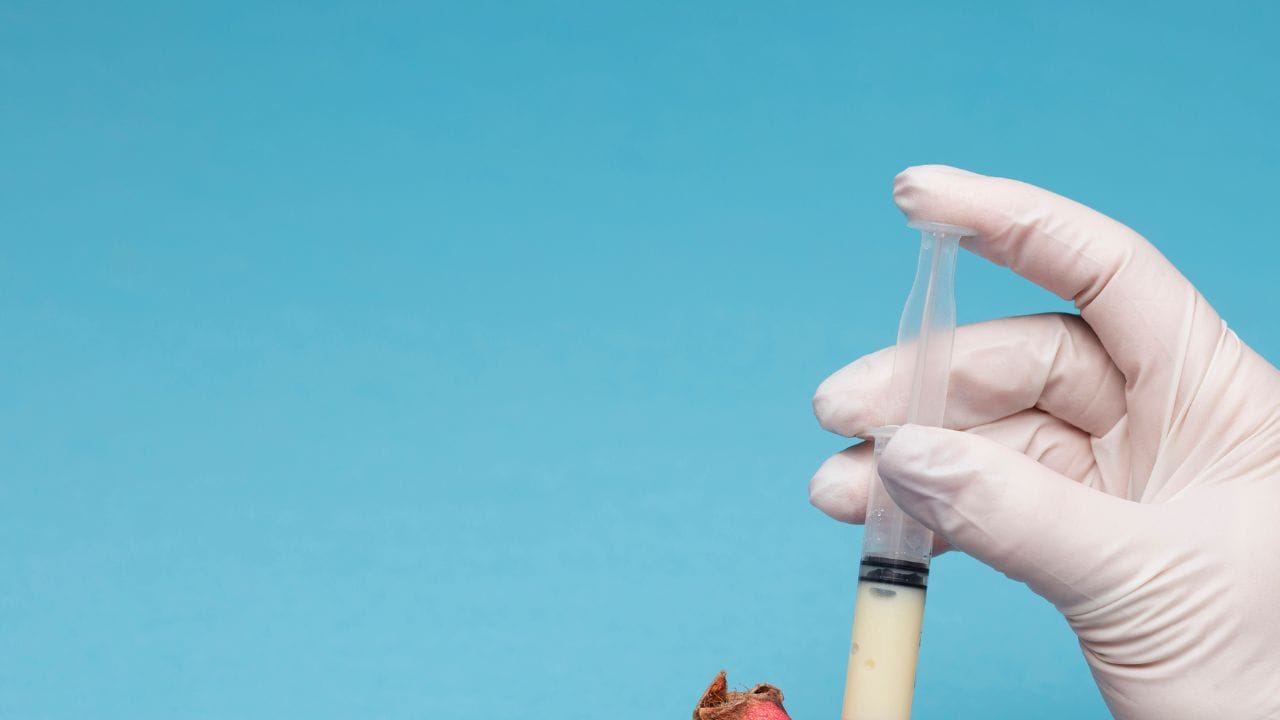 ભારતમાં અનેક એવા કપલ છે. જેને માતા-પિતા બનવાનું સુખ મળતું નથી જેમાં કેટલીક વખત ઈન્ફર્ટિલિટીનું કારણ હોય તો અન્ય કોઈ સમસ્યા પણ આનું કારણ છે. ત્યારે કપલ માટે સરોગેસી કોઈ વરદાનથી ઓછું નથી.