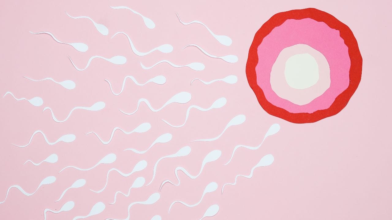 બ્રિટન એ પહેલો દેશ હતો, જેણે સહાયિત પ્રજનનને કાનૂની દાયરામાં લાવવા માટે સંસદમાં કાયદો પસાર કર્યો હતો. ઘણા દેશોમાં આવા કાયદા બનાવવામાં આવ્યા હતા. મોટાભાગના દેશોમાં, આવા કાયદા હેઠળ, ડોનર દ્વારા જન્મેલા બાળક પરના પોતાના અધિકારો છોડી દે છે.