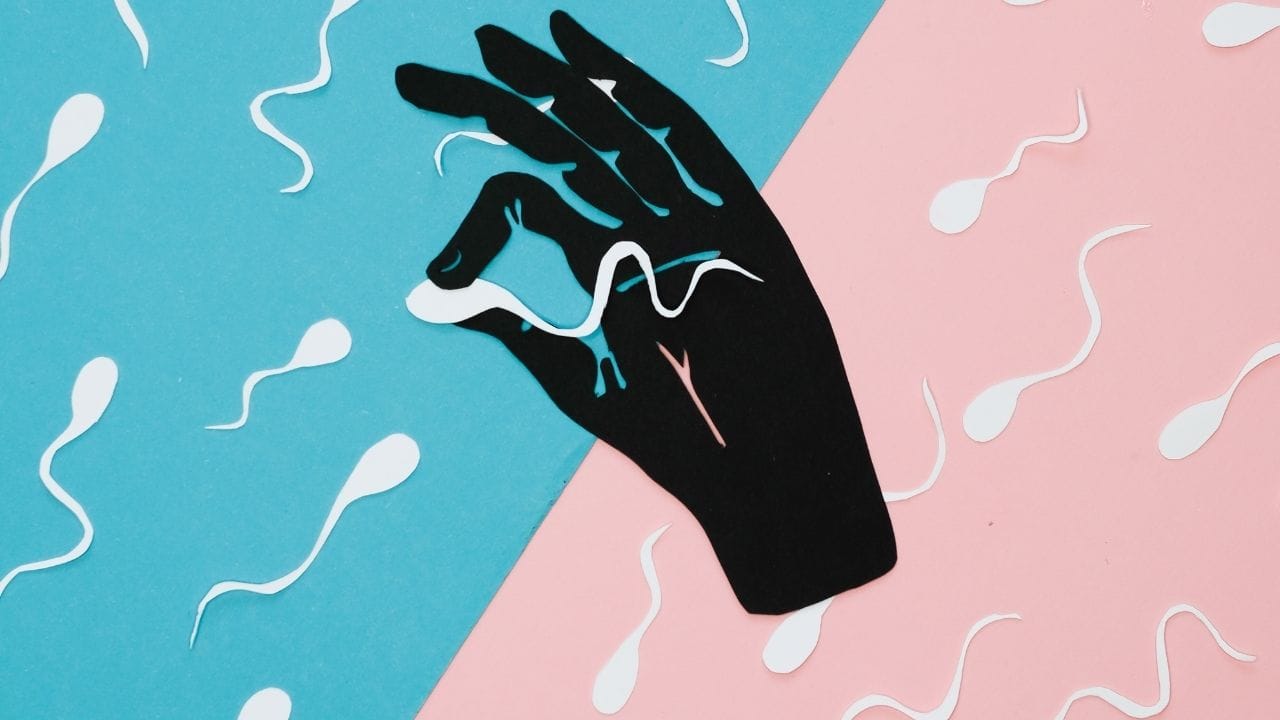 (Disclaimer: જો તમારી પાસે કોઈ ચોક્કસ કેસ હોય તો કાનૂની નિષ્ણાત (વકીલ) ની સલાહ લેવી સલાહભર્યું છે. અહીં આપેલી માહિતી ફક્ત કોર્ટના નિર્ણયો અને કલમોને આધારે આપવામાં આવી છે. તમારે કોઈ કેસ માટે જાણવું હોય તો યોગ્ય વકીલની સલાહ લઈ શકો છો.)(All Image Symbolic)