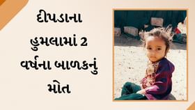 Gir Somnath : ઝૂંપડામાં સુતેલા બાળકને દીપડો ઉઠાવી ગયો Gir Somnath : ઝૂંપડામાં સુતેલા બાળકને દીપડો ઉઠાવી ગયો