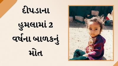 Gir Somnath  : ઝૂંપડામાં સુતેલા બાળકને દીપડો ઉઠાવી ગયો, 2 વર્ષના માસુમનો મૃતદેહ મળ્યો, જુઓ Video