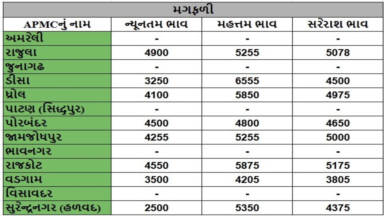 મગફળીના તા.01-08-2025ના રોજ APMCના ભાવ રૂ.2500 થી 6555 રહ્યા.
