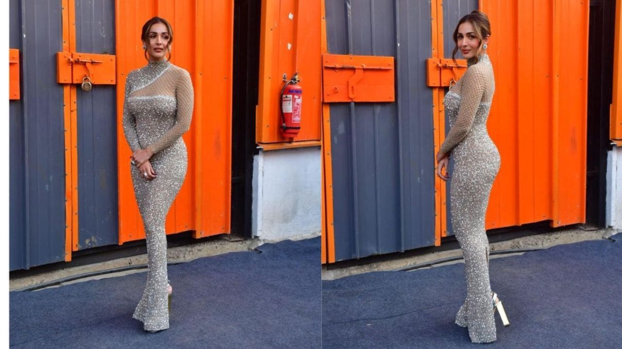 પિંકવિલાને આપેલા ઇન્ટરવ્યુમાં, તેણીએ કહ્યું- હું હંમેશા મારા લગ્નને પ્રેમ કરીશ, પરંતુ જ્યારે મેં છૂટાછેડા લેવાનો નિર્ણય લીધો, ત્યારે બધાએ મને પ્રશ્ન કર્યો. 'પરંતુ આજે હું ખુશ છું. હું ખુશ છું કે મેં આ નિર્ણય લીધો. જ્યારે મેં અલગ થવાનો નિર્ણય લીધો, ત્યારે મને સ્વાર્થી કહેવામાં આવી. એવું કહેવામાં આવતું હતું કે હું મારી જાતને કેવી રીતે પહેલા રાખી શકું.'