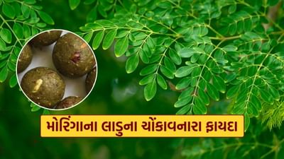 શું તમે જાણો છો કે એક નાનો મોરિંગા લાડુ શરીરને ઘણા ફાયદા અને અનેક રોગો સામે લડવાની ક્ષમતા આપશે. આ લાડુ રોગપ્રતિકારક શક્તિ વધારે છે. ચાલો જાણીએ કે તેને કેવી રીતે બનાવવું અને ખાવું જેથી સ્વાસ્થ્ય સ્વસ્થ રહે.