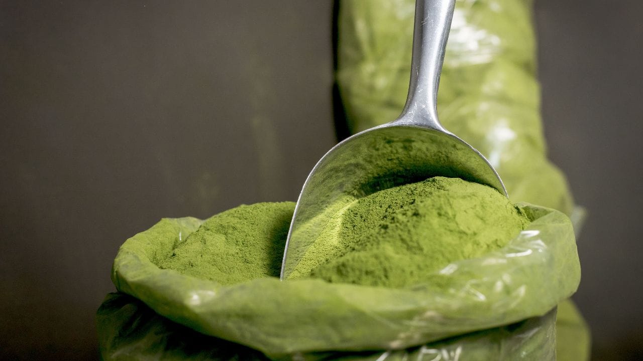 ઘી અને ચણાનો લોટ સારી રીતે મિક્સ કર્યા પછી, તેમાં મોરિંગા પાવડર ઉમેરો. પછી, તેને ધીમા તાપે લગભગ 1-4 મિનિટ માટે તળો.